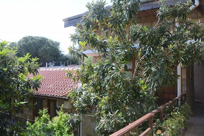 Antonios Motel Sidé Extérieur photo